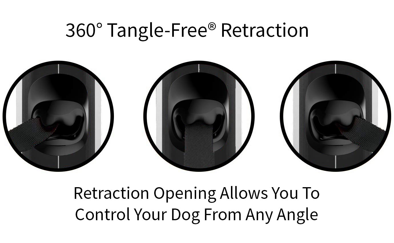 TUG Original Retractable Dog Leash shown in use during a dog walk.