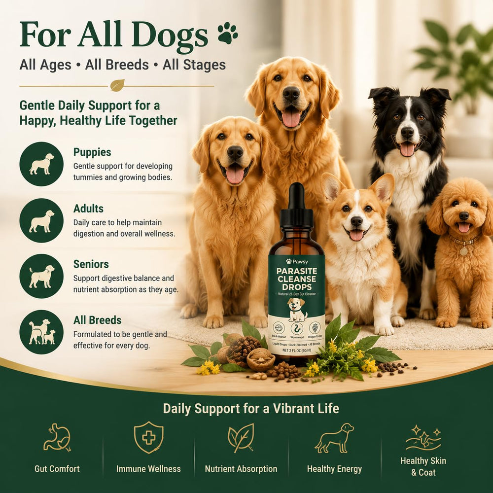 Tunhor Pawsy Parasite Cleanse Drops being given directly to a dog.