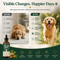 Tunhor Pawsy Parasite Cleanse Drops for dogs at different life stages.