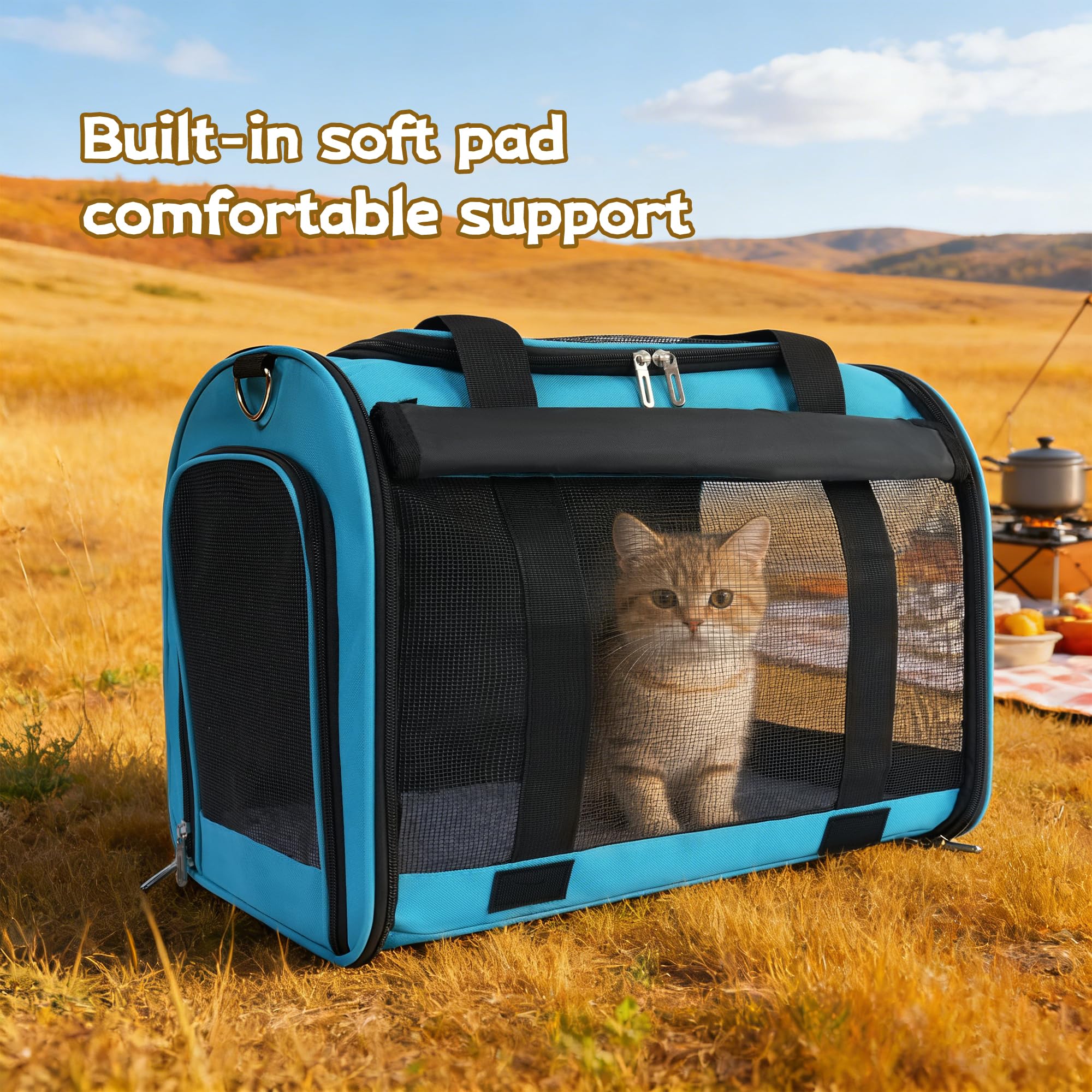 TWDEPART cat carrier backpack shown folded for storage.