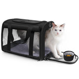 TWDEPART cat carrier backpack shown from the front in black.
