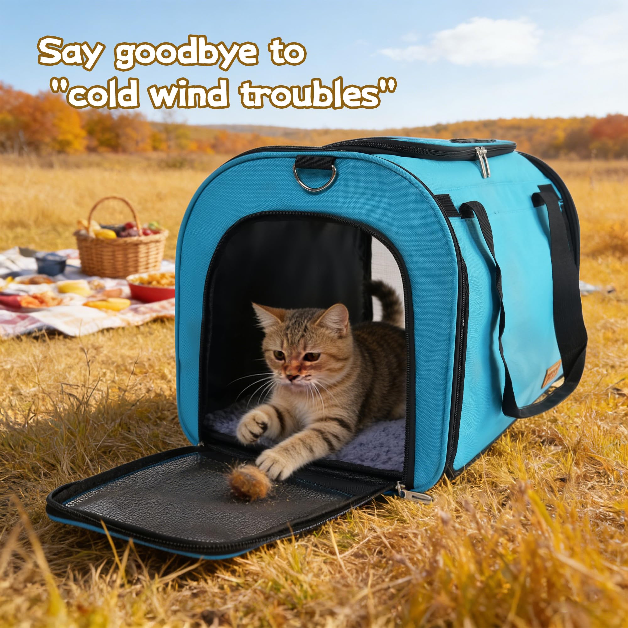 TWDEPART cat carrier backpack shown during an outing.