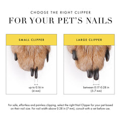 Tweezerman Small Nail Clippers for Pets positioned beside a cat’s nail.