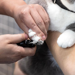 Tweezerman Small Nail Clippers for Pets held by the ergonomic handles.