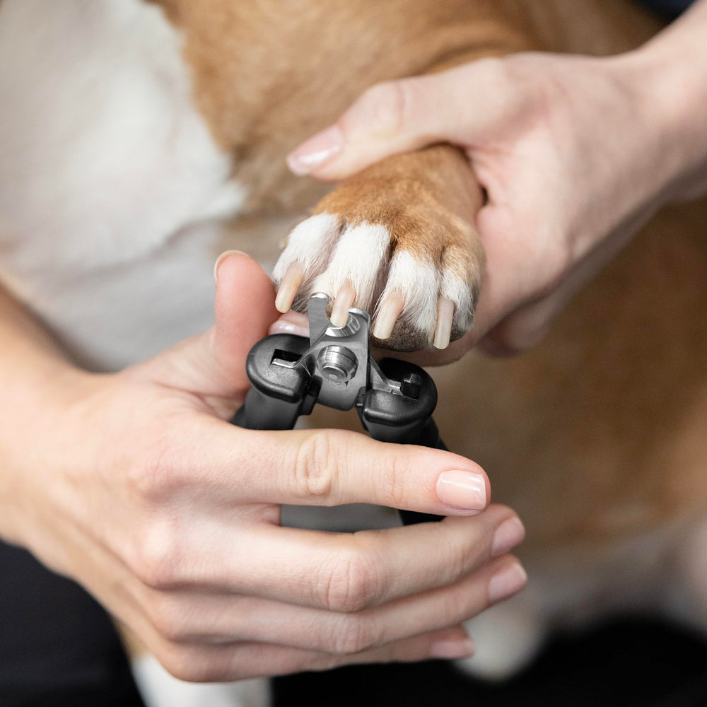 Tweezerman Small Nail Clippers for Pets with a close view of the handles.