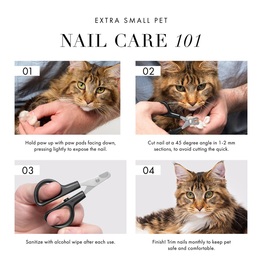Tweezerman X-Small pet nail clippers held in one hand.