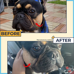 Two Pets and a Half Wrinkle Wipes shown for paw grooming.