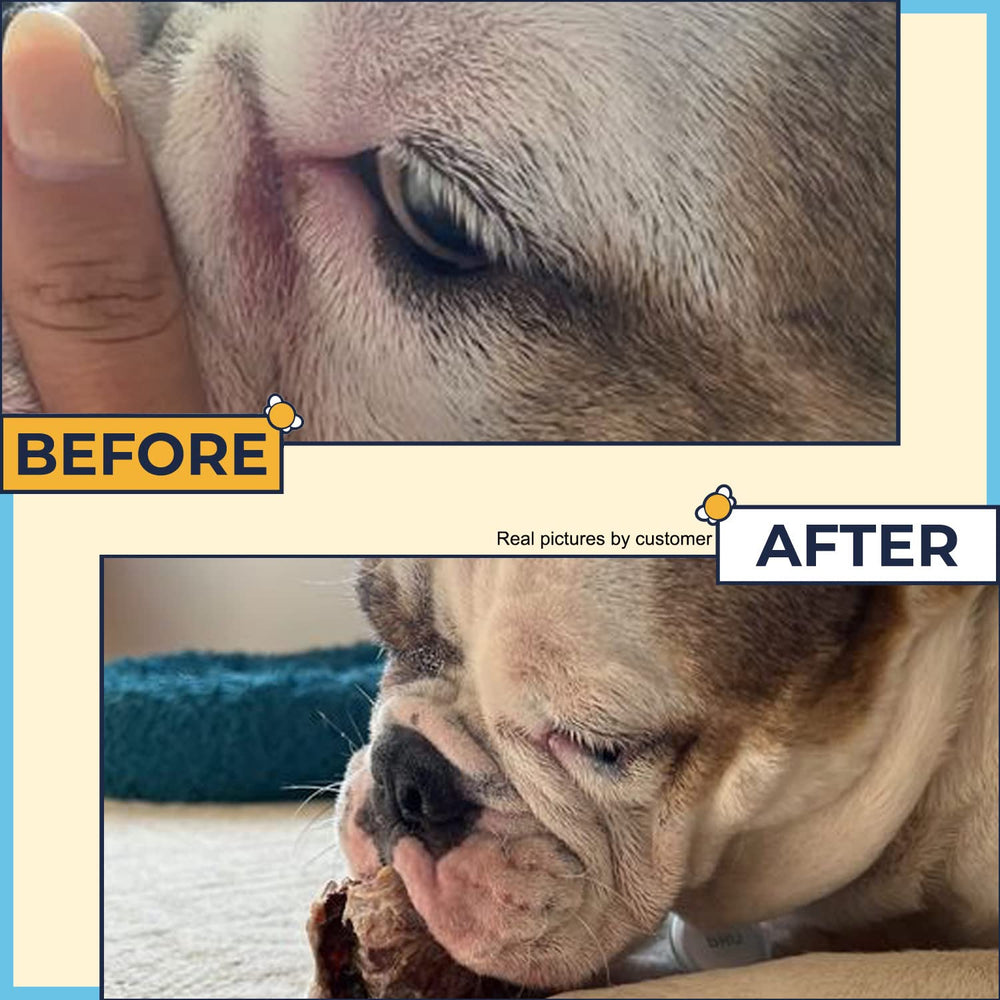 Two Pets and a Half Wrinkle Wipes shown for tear stain care.
