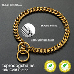 txprodogchains dog collar shown on a dog during a walk.
