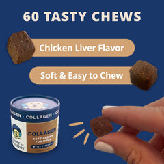 Under the Weather collagen dog chews shown in a close-up view.