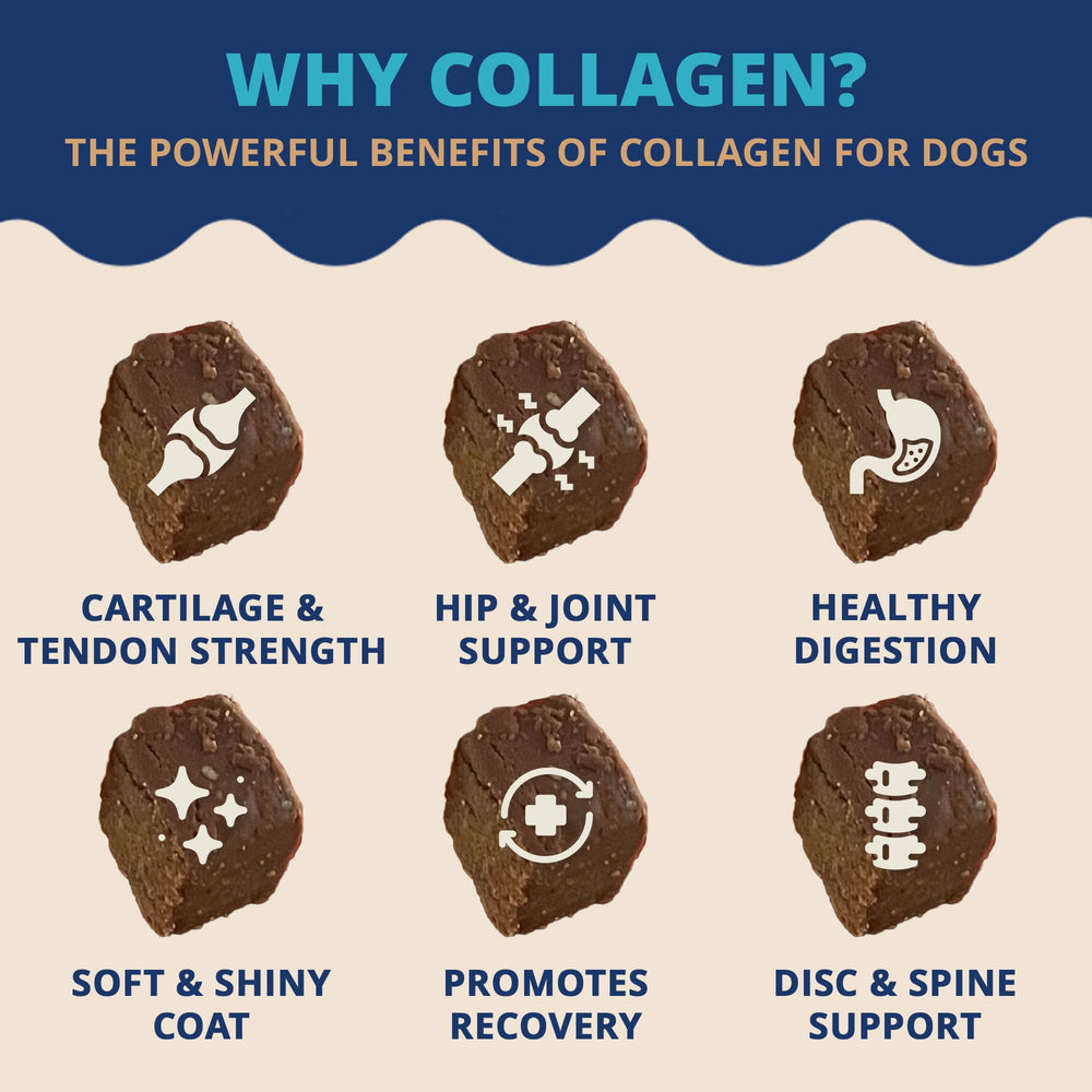 Under the Weather collagen dog chews with the product label in focus.