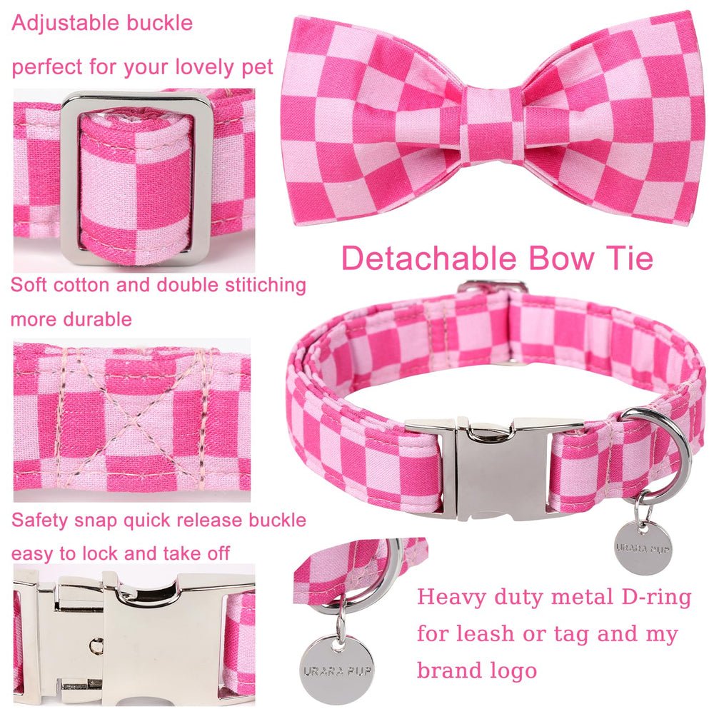 UP URARA PUP dog collar close-up showing its metal buckle and clasp.