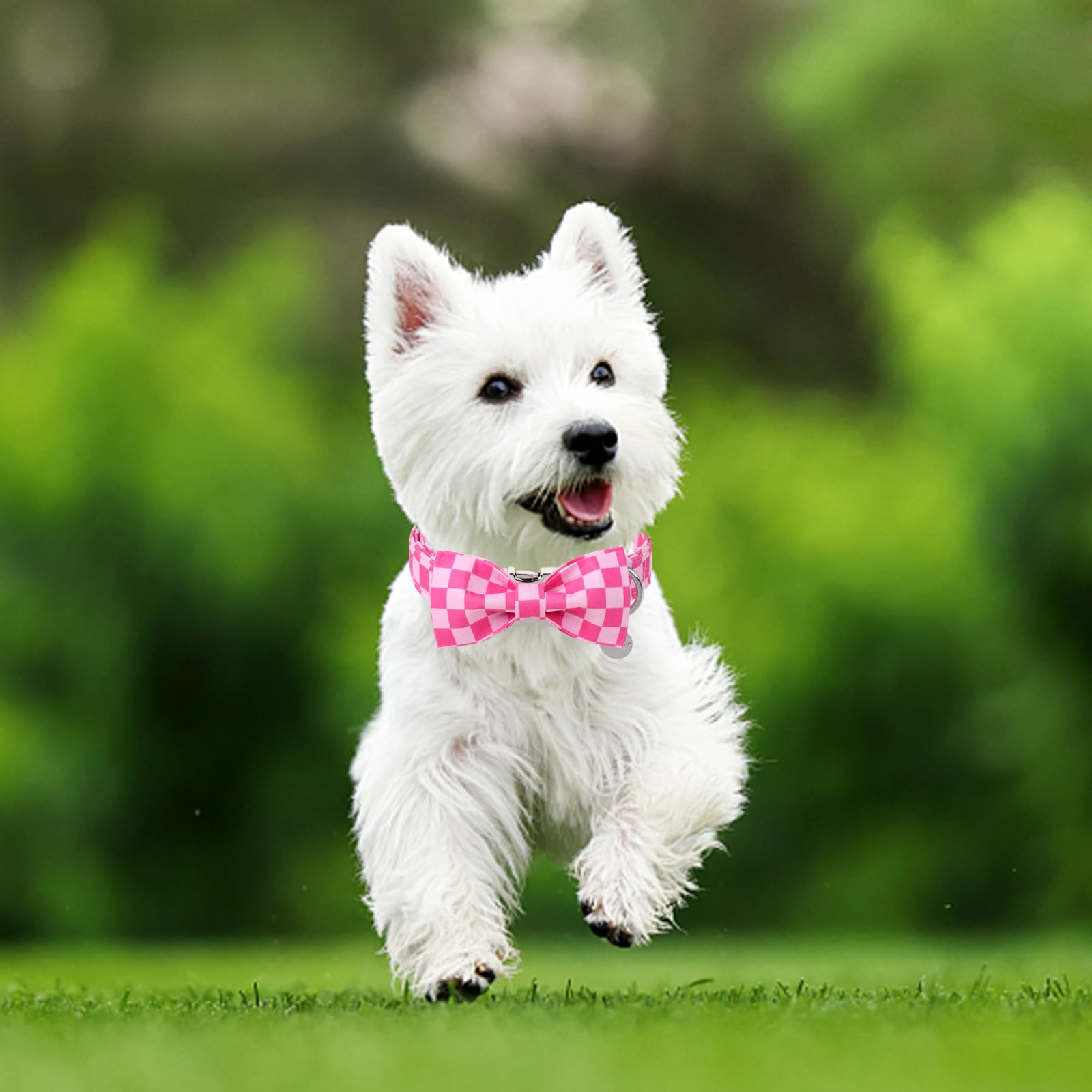UP URARA PUP dog collar size guide showing the adjustable M fit range.