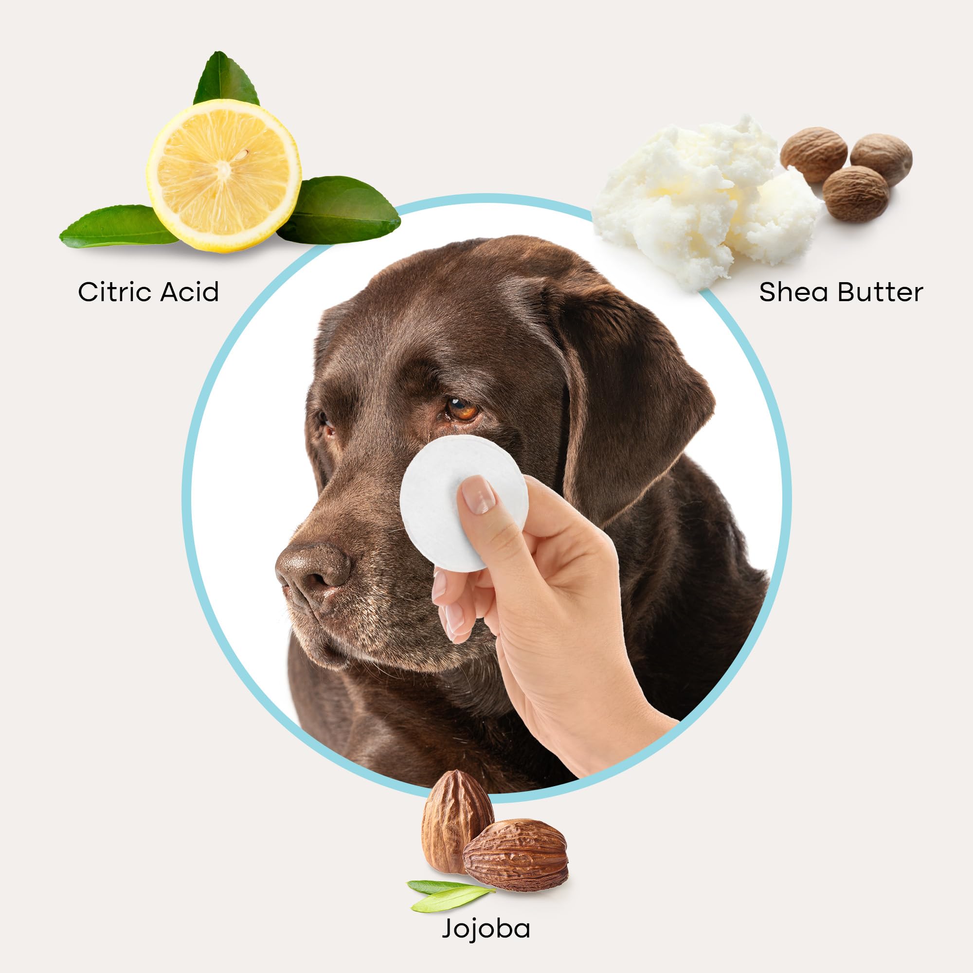 Uproot Clean cat and dog eye wipes with the 100-count detail in view.