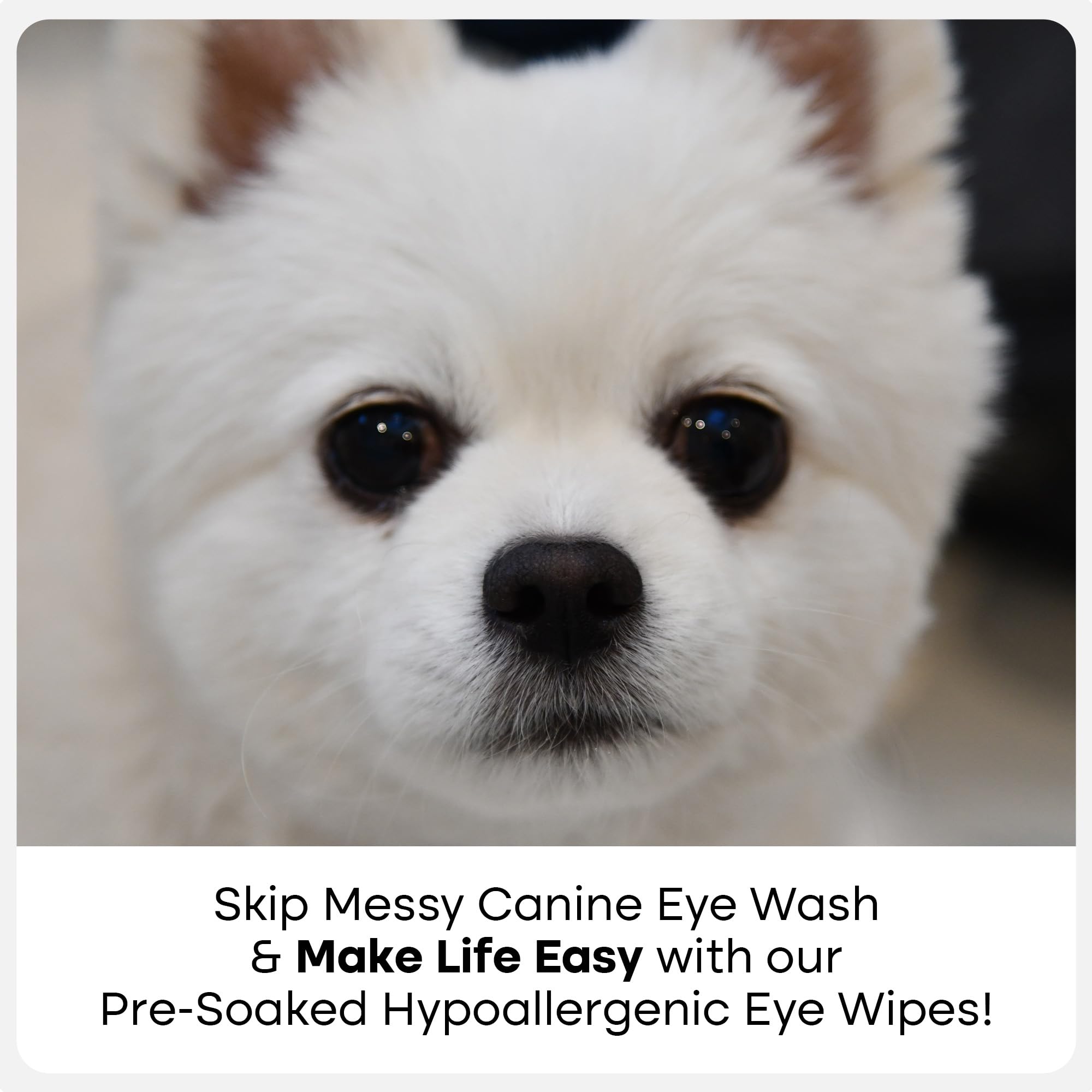 Uproot Clean cat and dog eye wipes shown as a single pre-soaked wipe.