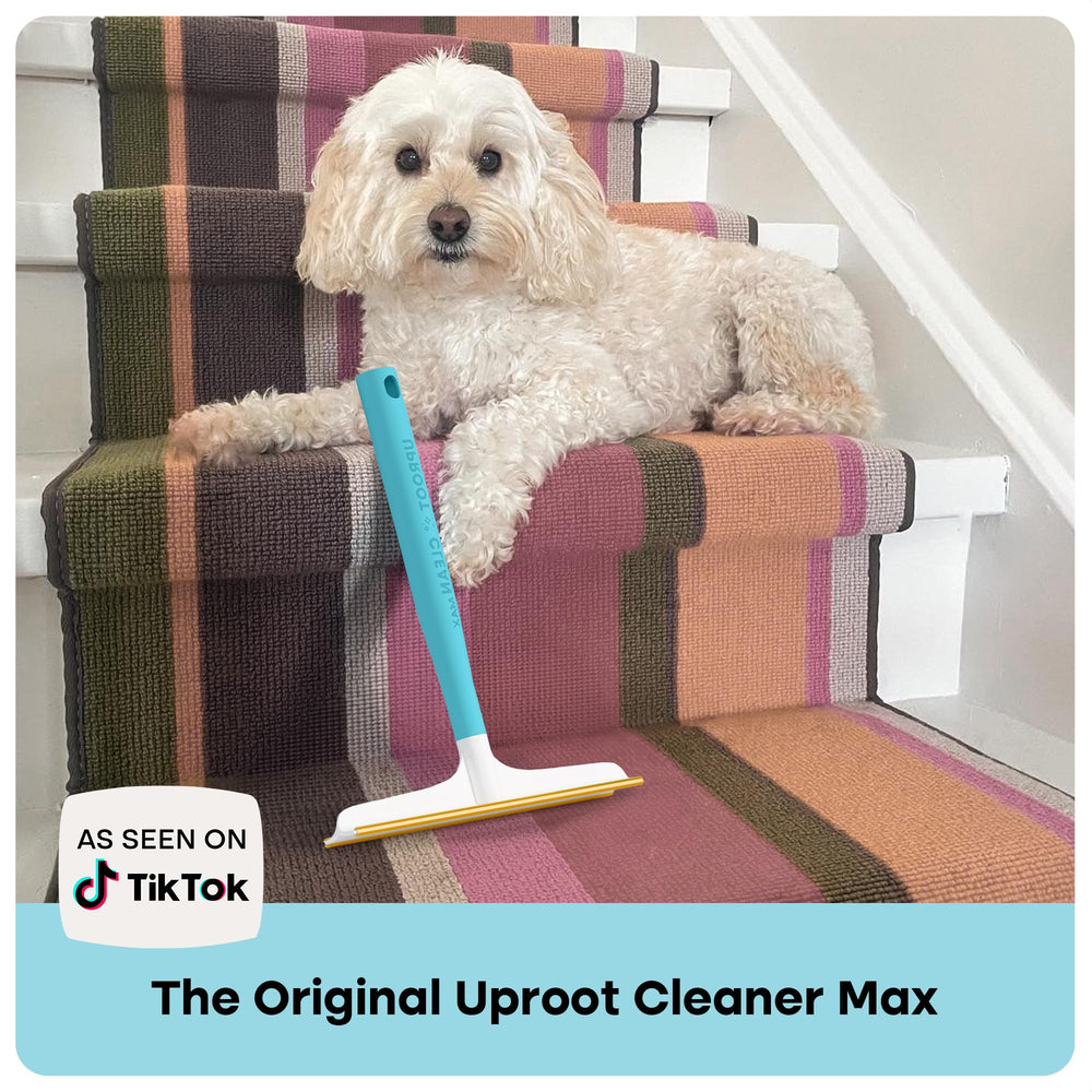 Uproot Cleaner Max pet hair rake being used on a rug.