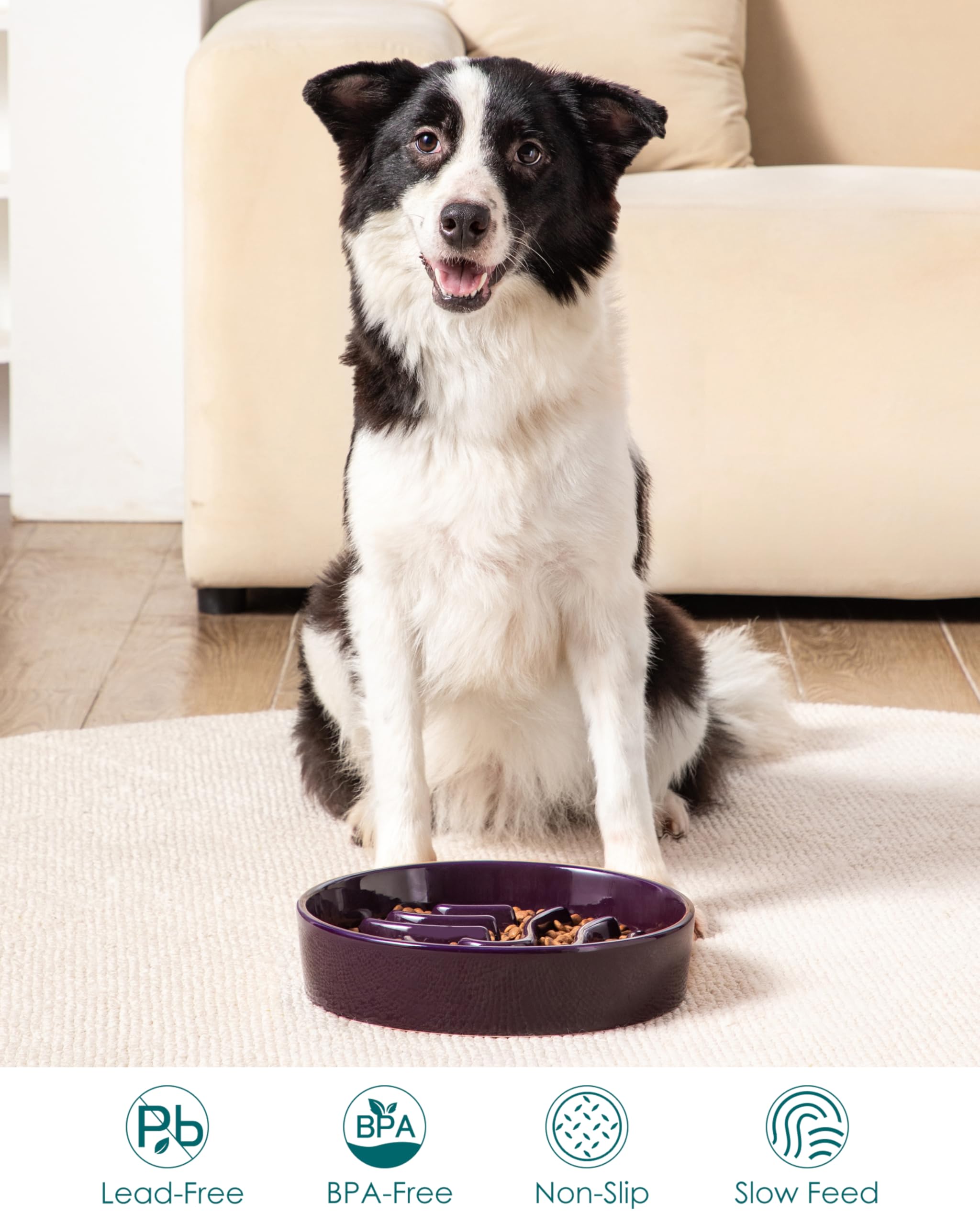 vancasso Slow Feeder Dog Bowl underside with non-slip adhesive pads.