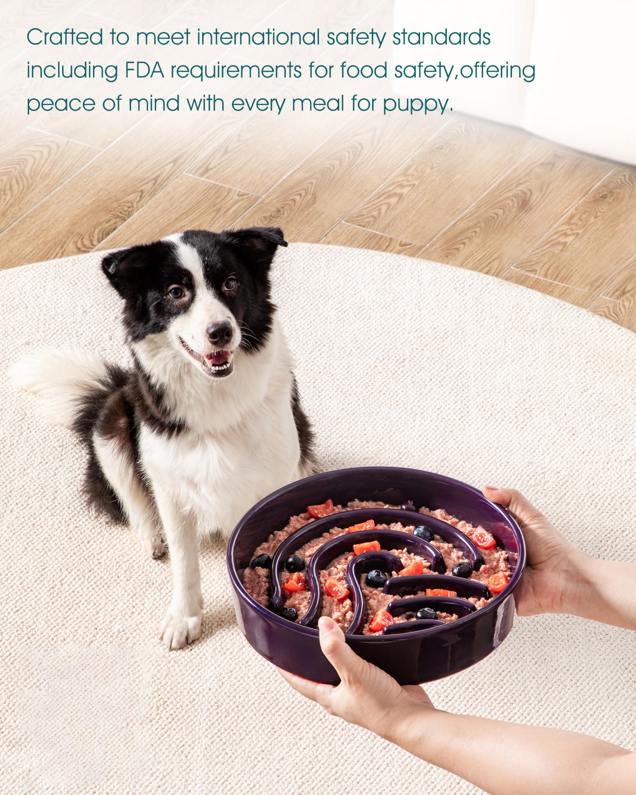 vancasso Slow Feeder Dog Bowl shown during a dog's mealtime.