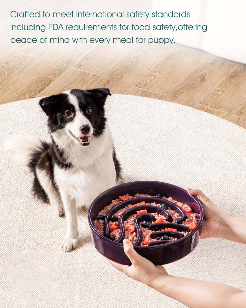 vancasso Slow Feeder Dog Bowl shown during a dog's mealtime.