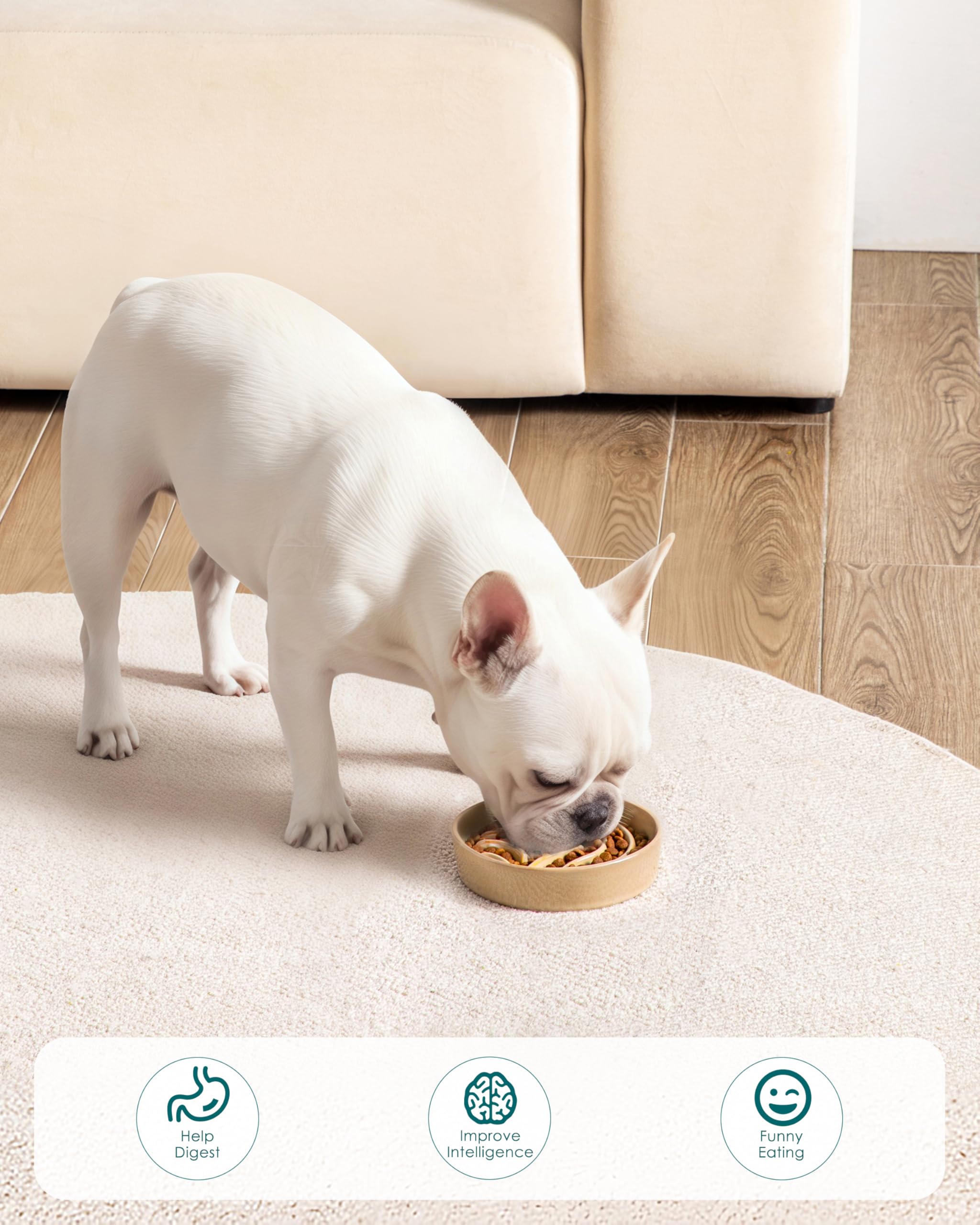 vancasso slow feeder dog bowl showing the non-slip adhesive pads on its base.