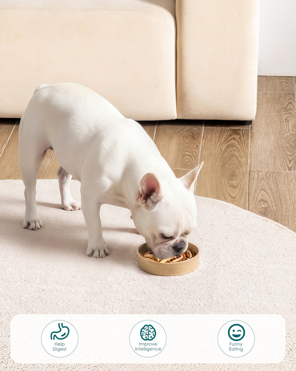 vancasso slow feeder dog bowl showing the non-slip adhesive pads on its base.
