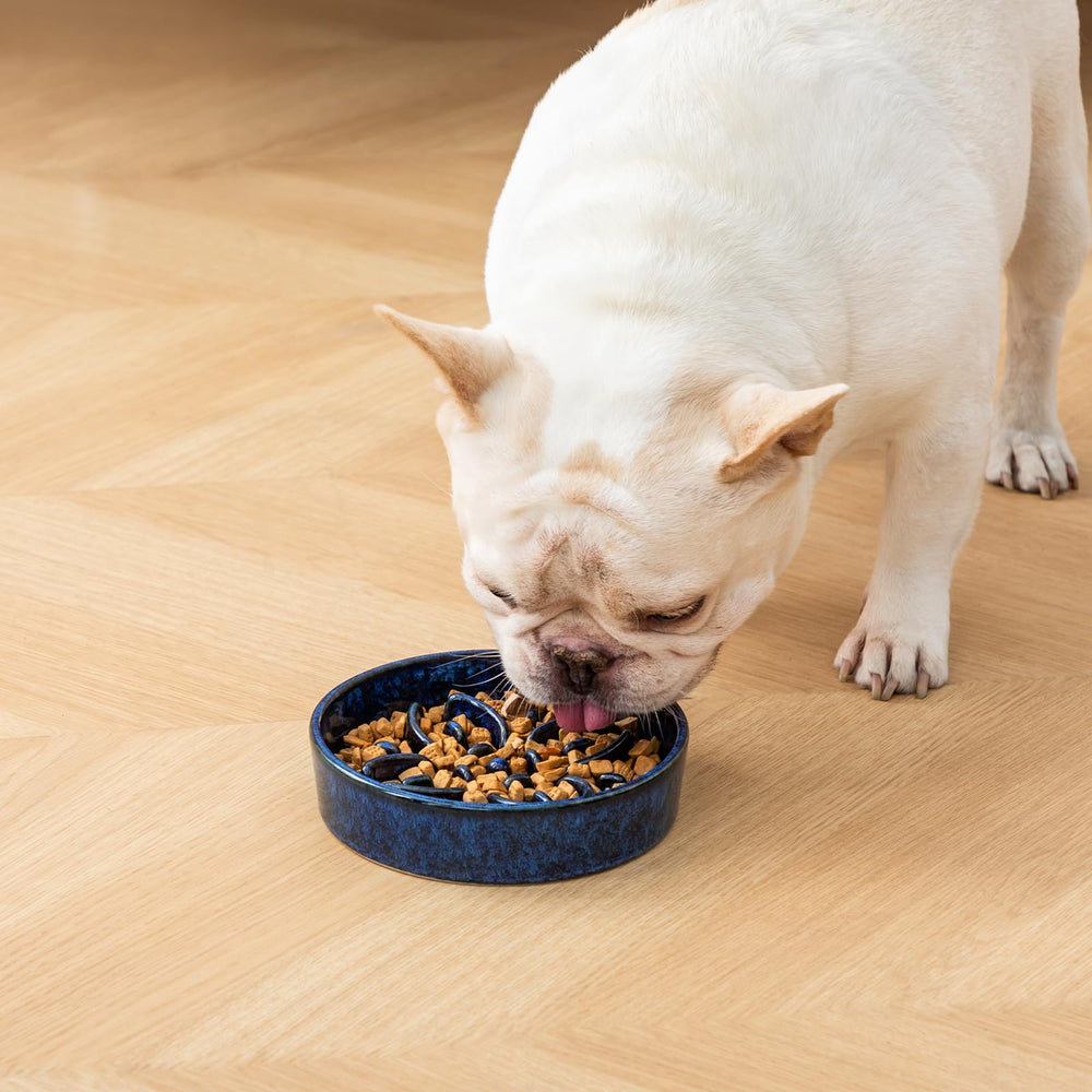 vancasso Slow Feeder Dog Bowl shown at an alternate angle in blue.