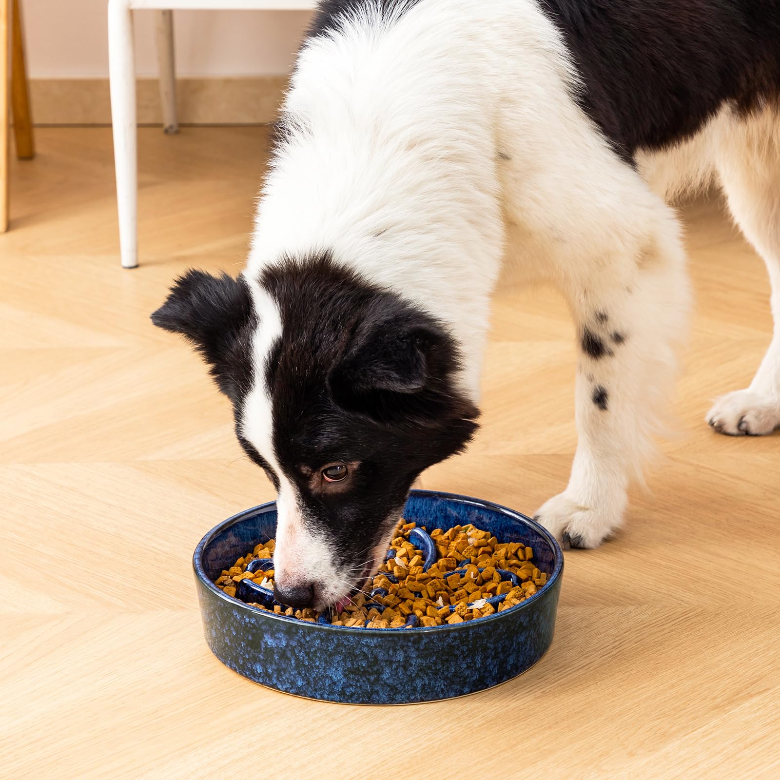 vancasso Slow Feeder Dog Bowl showing its blue ceramic finish.