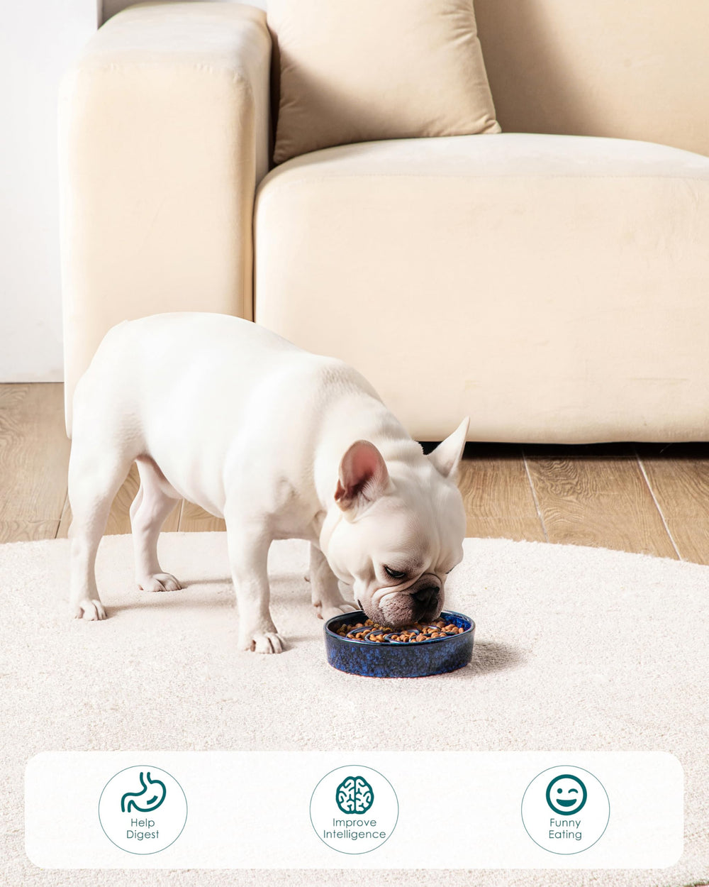 vancasso Slow Feeder Dog Bowl showing food placed among the interior ridges.
