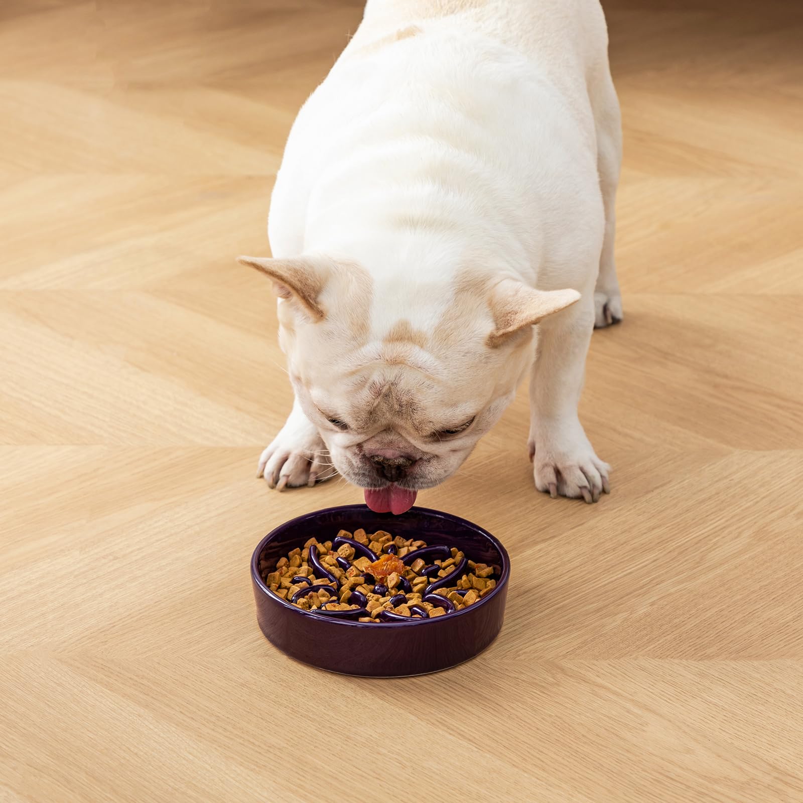 Food served in the floral maze of the purple vancasso Slow Feeder Dog Bowl.