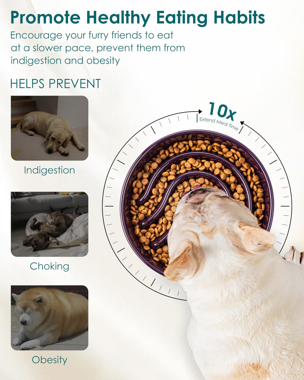 vancasso slow feeder dog bowl with a close view of the smooth glazed surface.