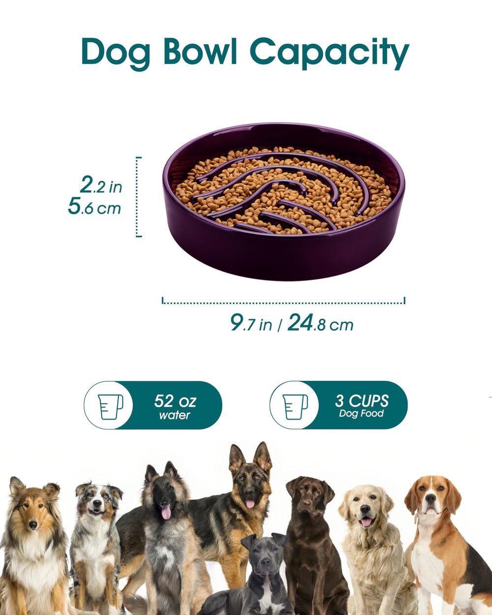 vancasso Slow Feeder Dog Bowl viewed from above, showing its maze-shaped feeding ridges.