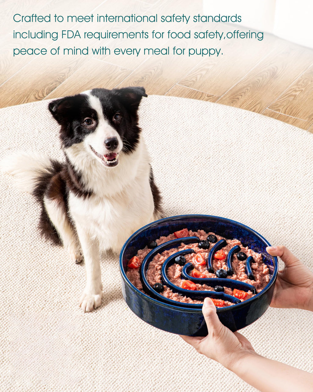 vancasso slow feeder dog bowl shown during a dog’s mealtime.