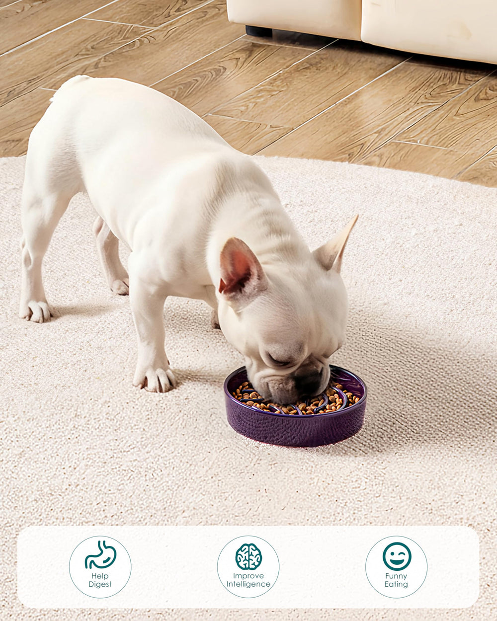 vancasso slow feeder dog bowl shown with its 0.6 cup portion capacity.