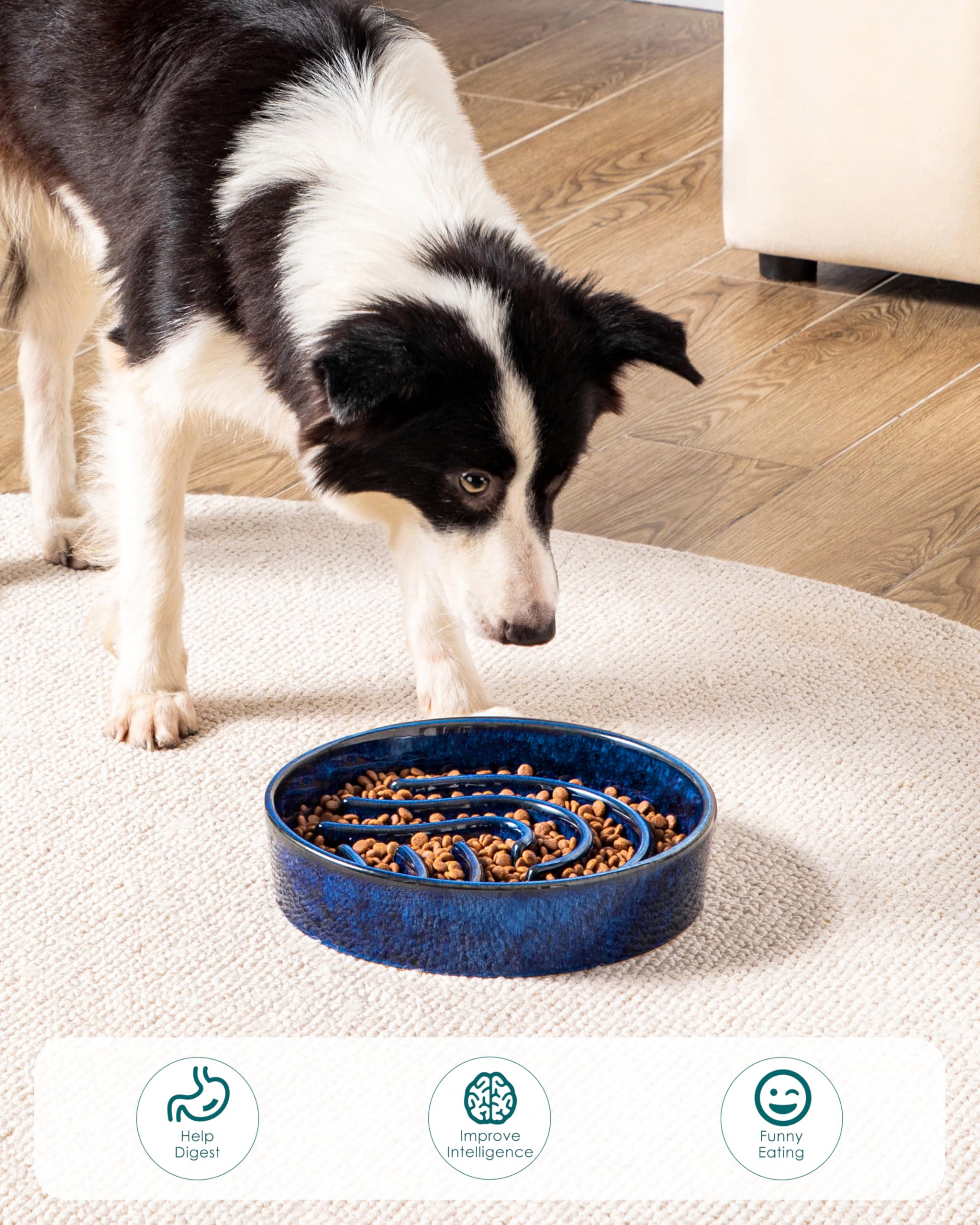 vancasso slow feeder dog bowl showing the blue glazed rim in close-up.