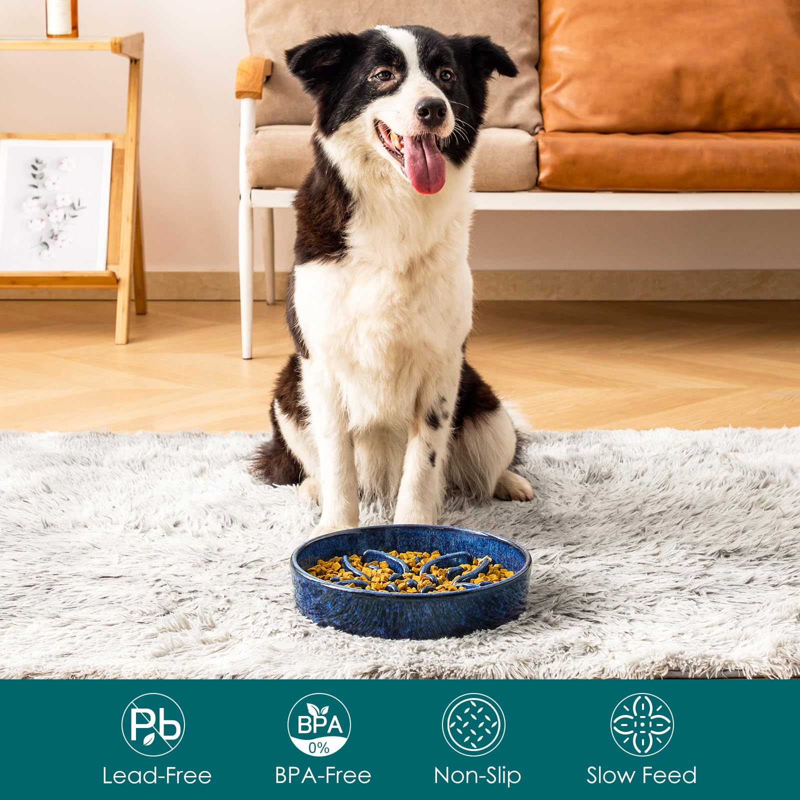 vancasso Slow Feeder Dog Bowl shown from a side angle to reveal its shallow shape.