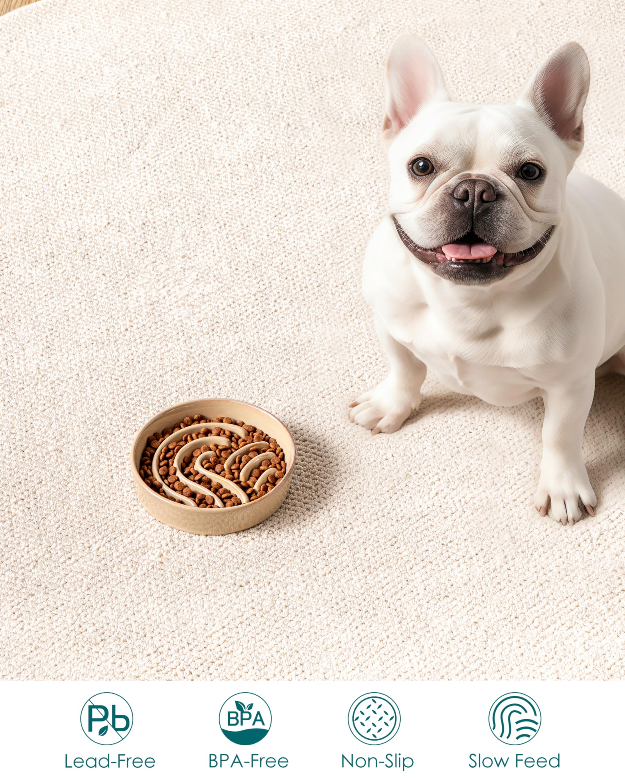 vancasso slow feeder dog bowl shown from the side to display its profile.