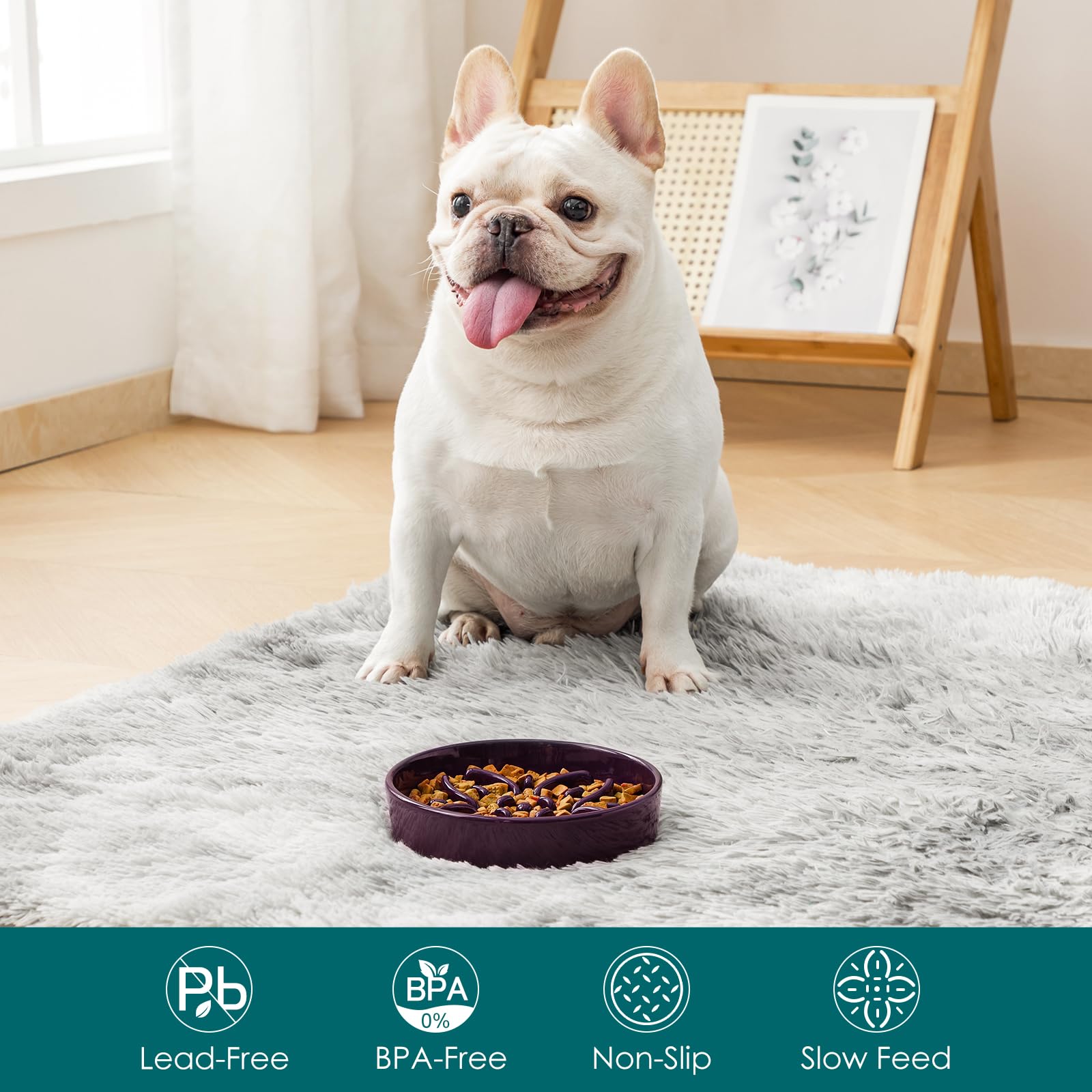 A small dog eating from the purple vancasso Slow Feeder Dog Bowl.