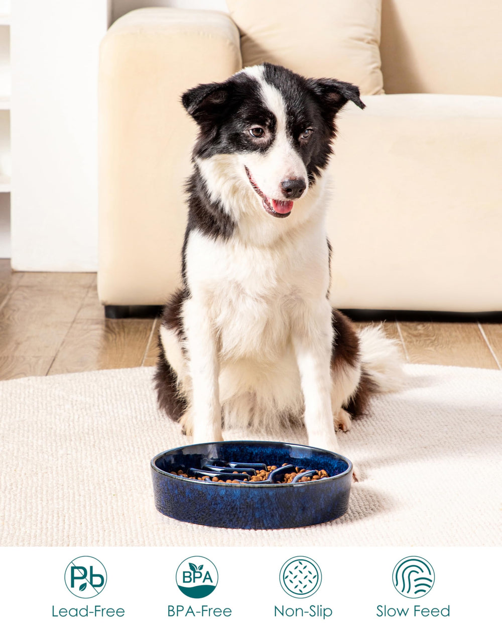 vancasso slow feeder dog bowl underside showing the adhesive non-slip pads.