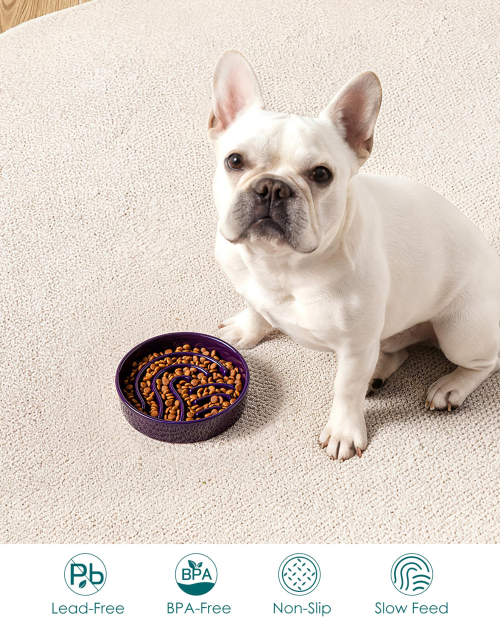 vancasso slow feeder dog bowl showing the adhesive pads beneath its base.