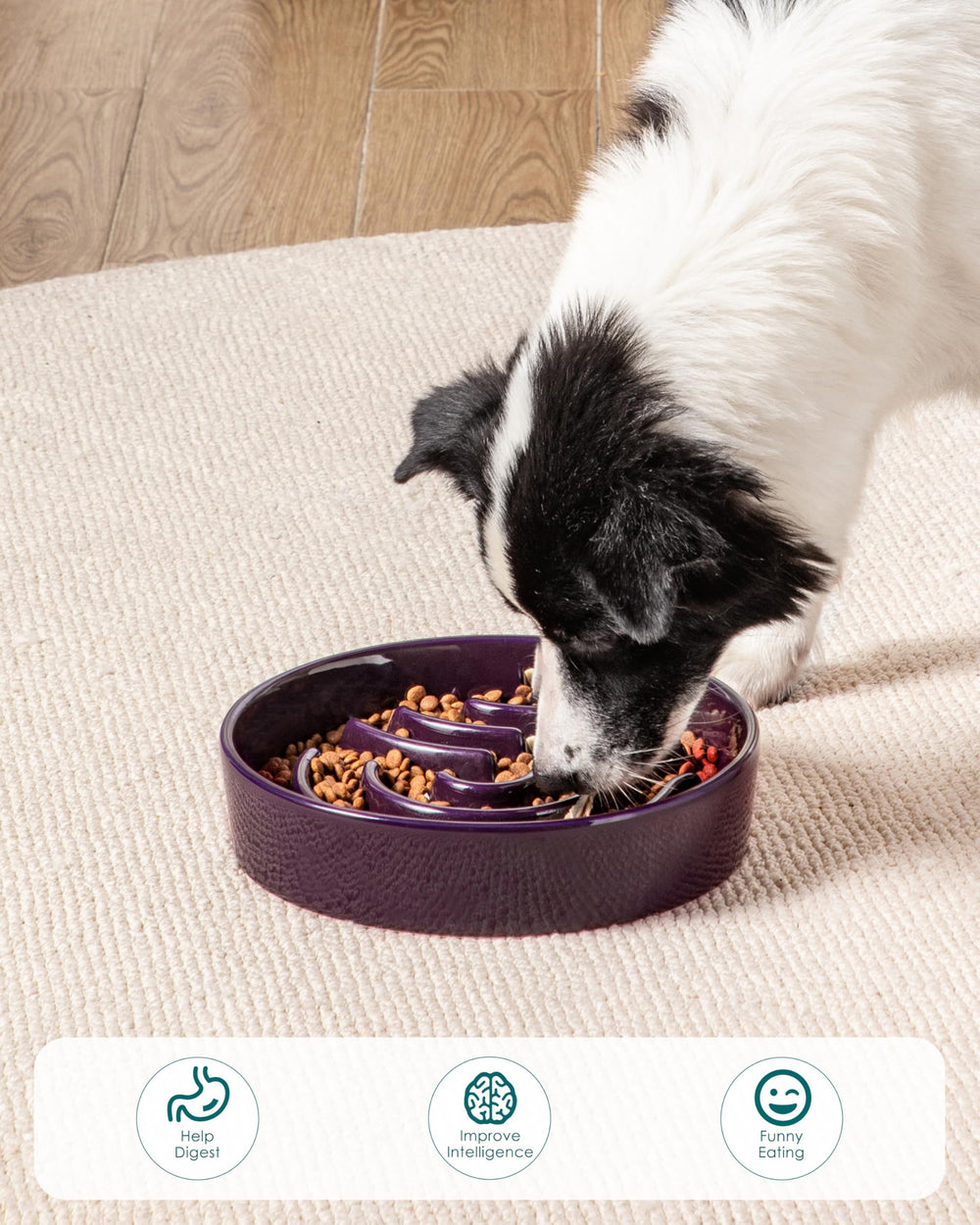 vancasso Slow Feeder Dog Bowl shown as the 3 Cup capacity option.