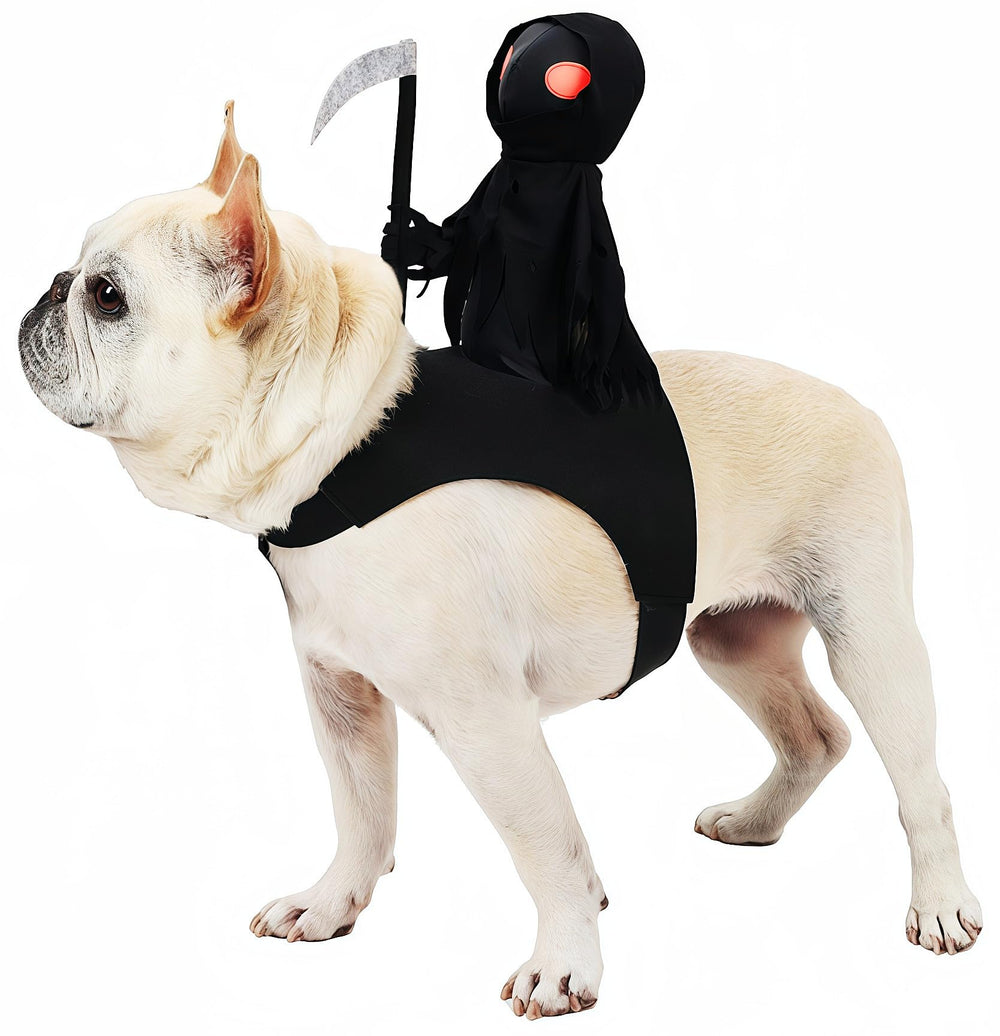 Vasrou dog Halloween costume shown from the front with its Grim Reaper rider design.