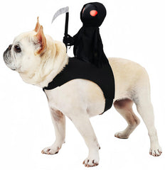 Vasrou dog Halloween costume shown from the front with its Grim Reaper rider design.