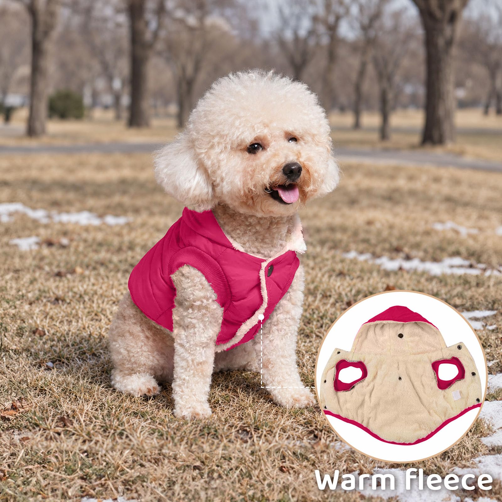 Vecomfy dog coat shown from the back.