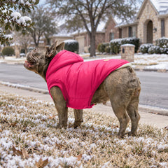 Vecomfy dog coat fleece lining and layered interior.