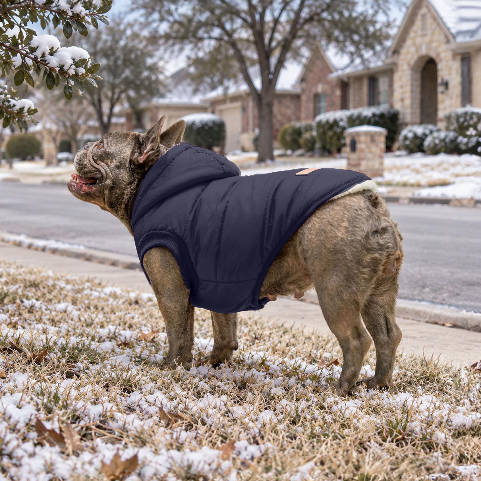 Vecomfy dog coat opened to show its fleece lining.
