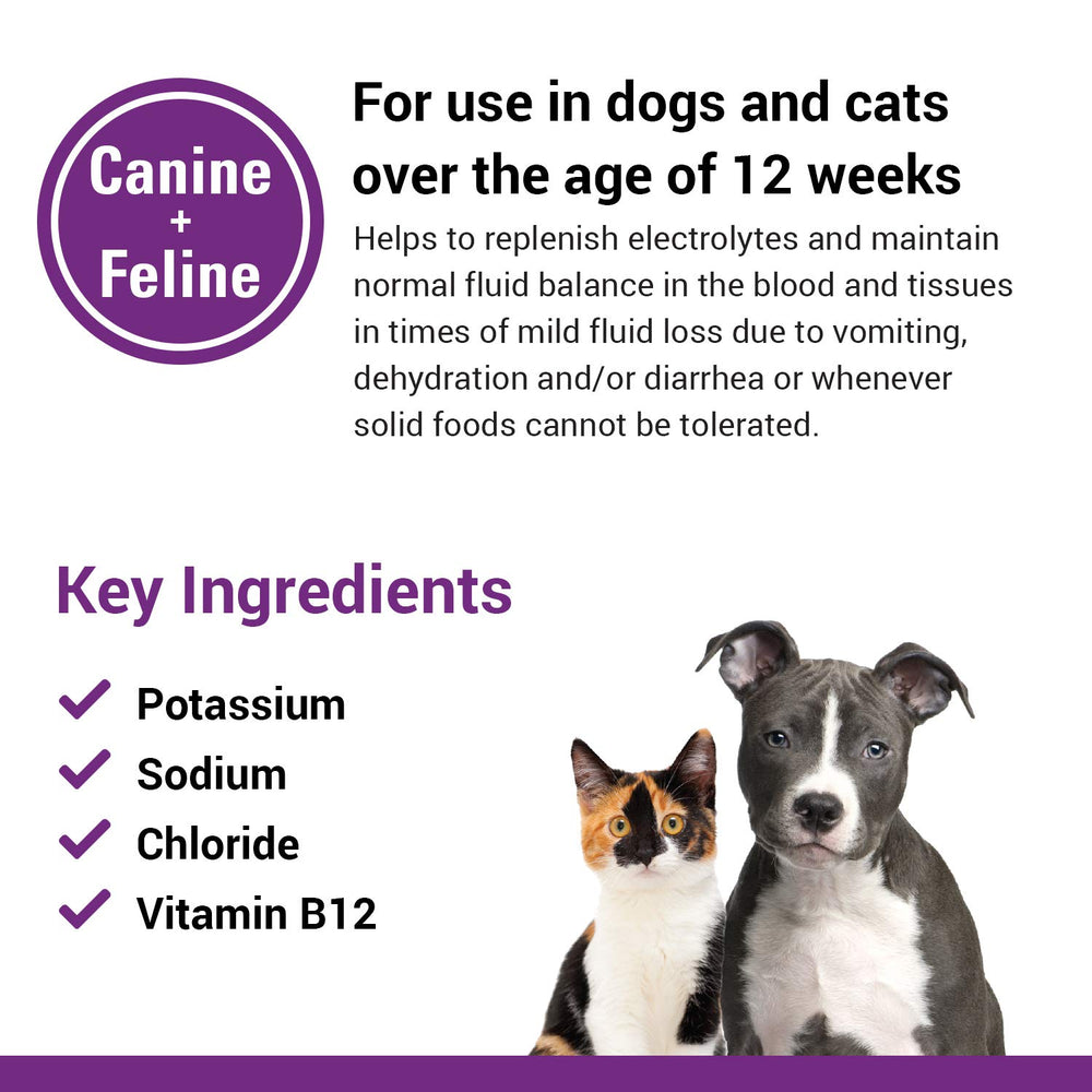Vet Classics Pet-A-Lyte oral electrolyte solution shown as a liquid product.