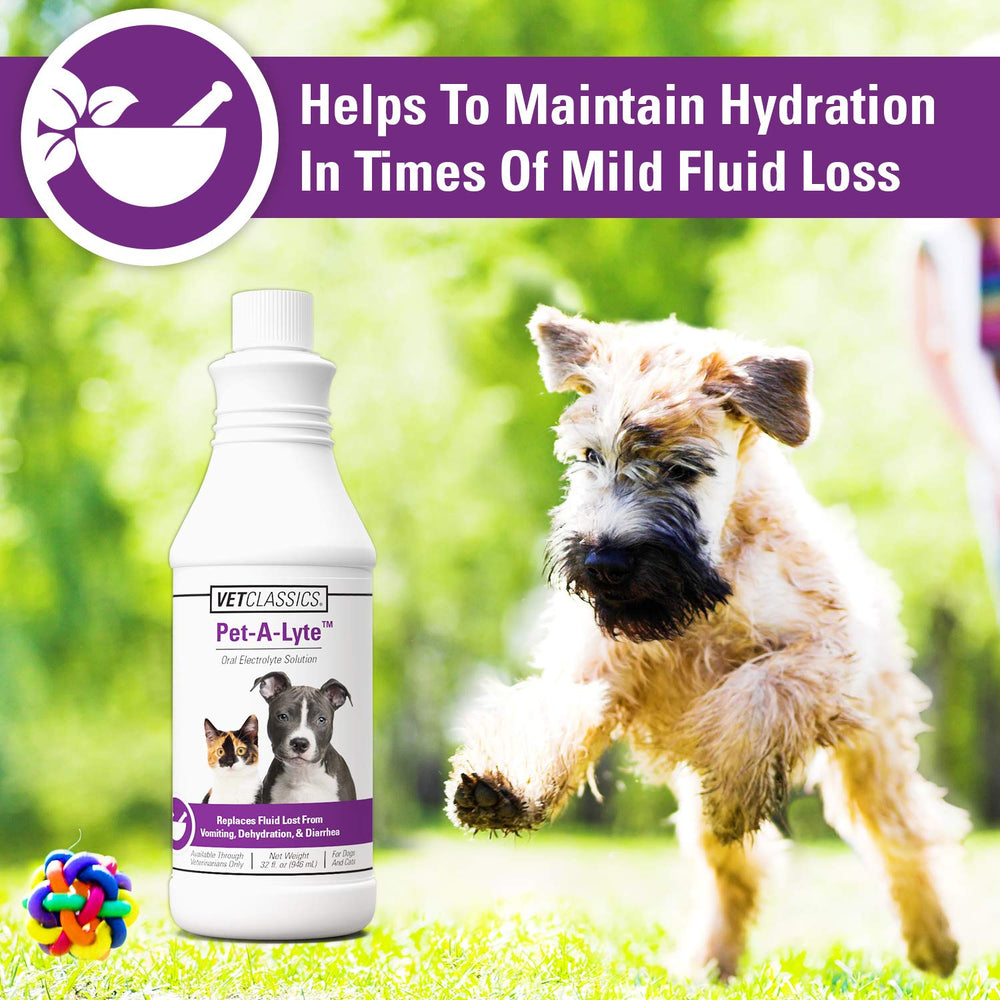 Vet Classics Pet-A-Lyte oral electrolyte solution bottle shown from the side.