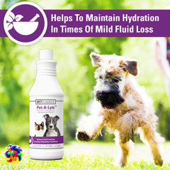 Vet Classics Pet-A-Lyte oral electrolyte solution bottle shown from the side.