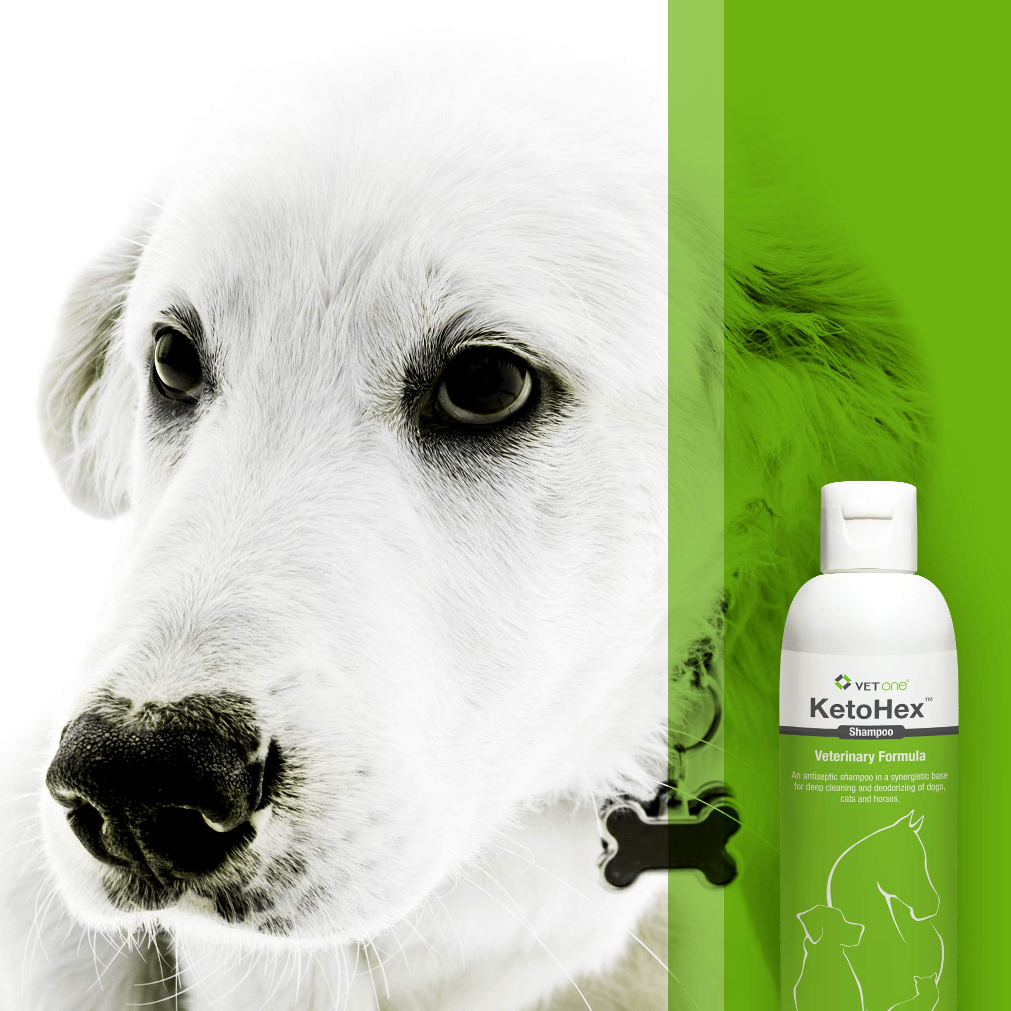 Vet One Shampoo brand name shown in focus.
