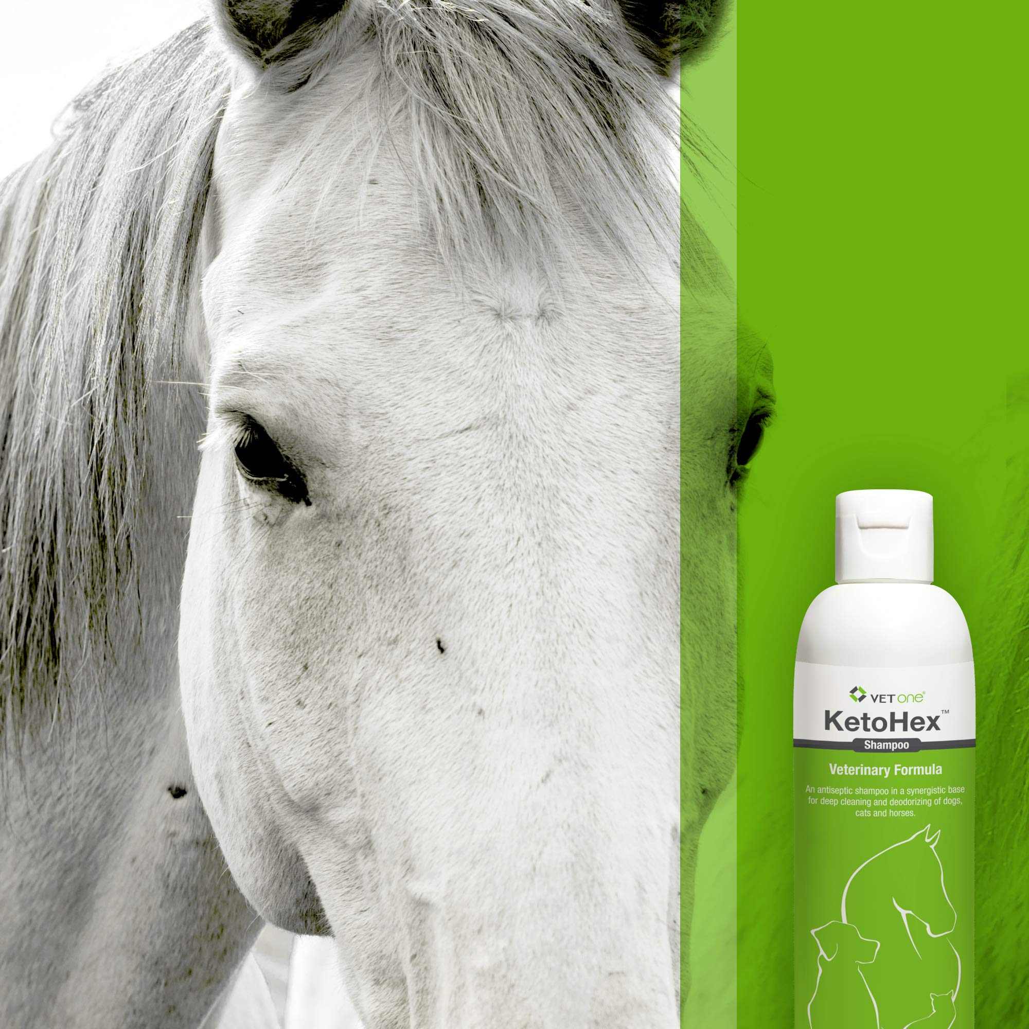 Vet One Shampoo shown during shampoo use.